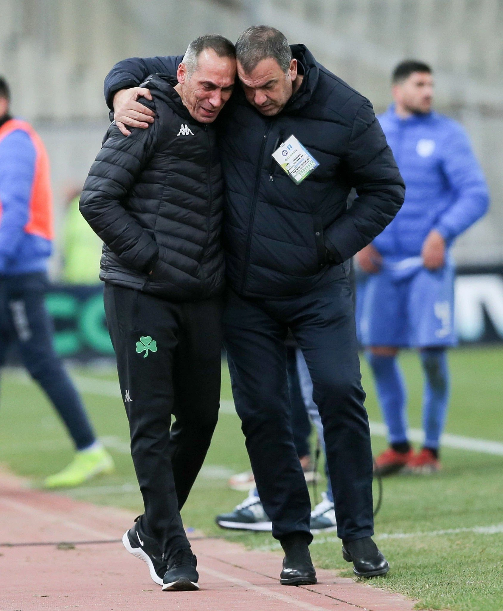 donis-2.jpg