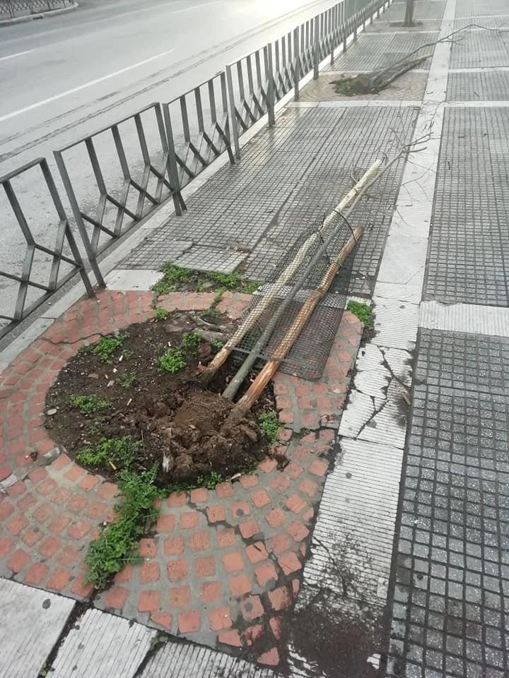 dendra-thessaloniki.jpg