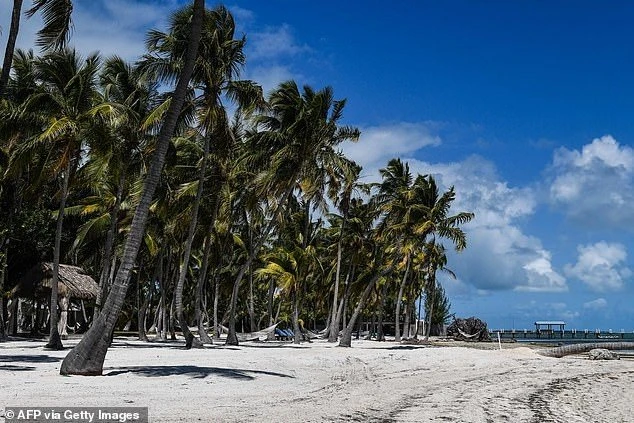florida-1.jpg