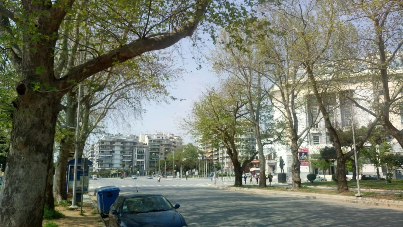 paralia-4.jpg