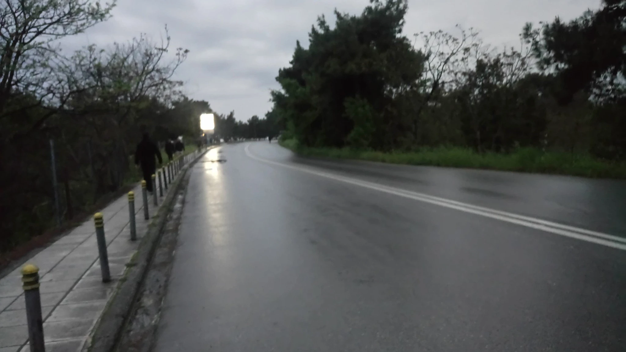93912446-257372262057875-4406855656531820544-n.jpg