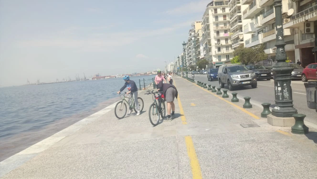 paralia-3-7GDT7.jpg