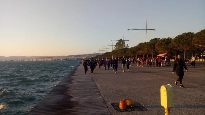 paralia-2-8AfZt.jpg