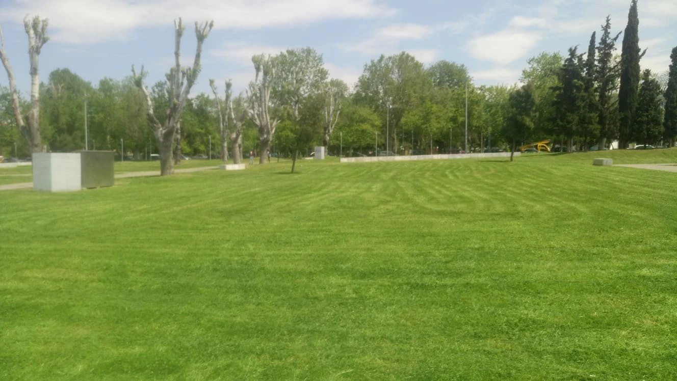 paralia-4.jpg