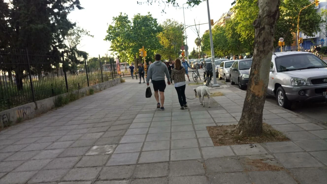 paralia-8.jpg