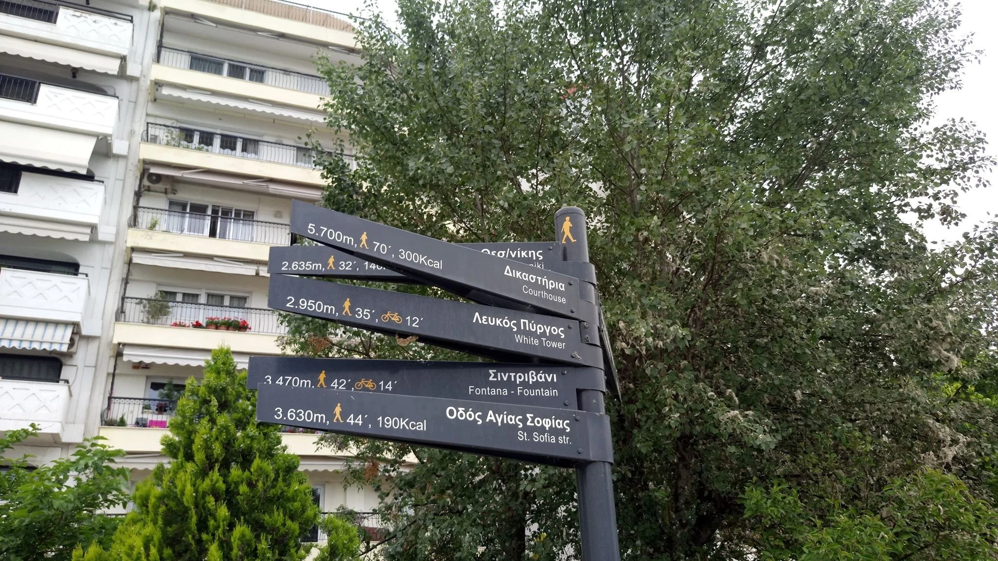 pinakides-1.jpg