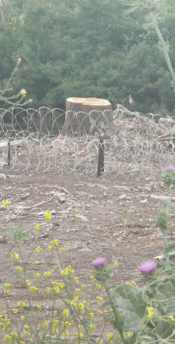 evros-1.png