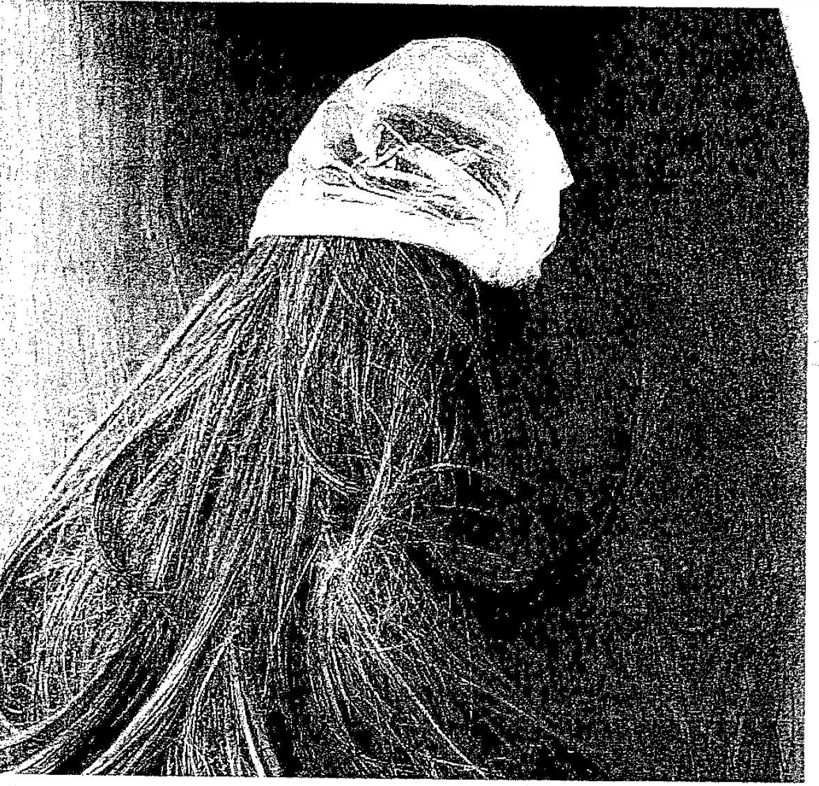 dikografia-perouka.jpg