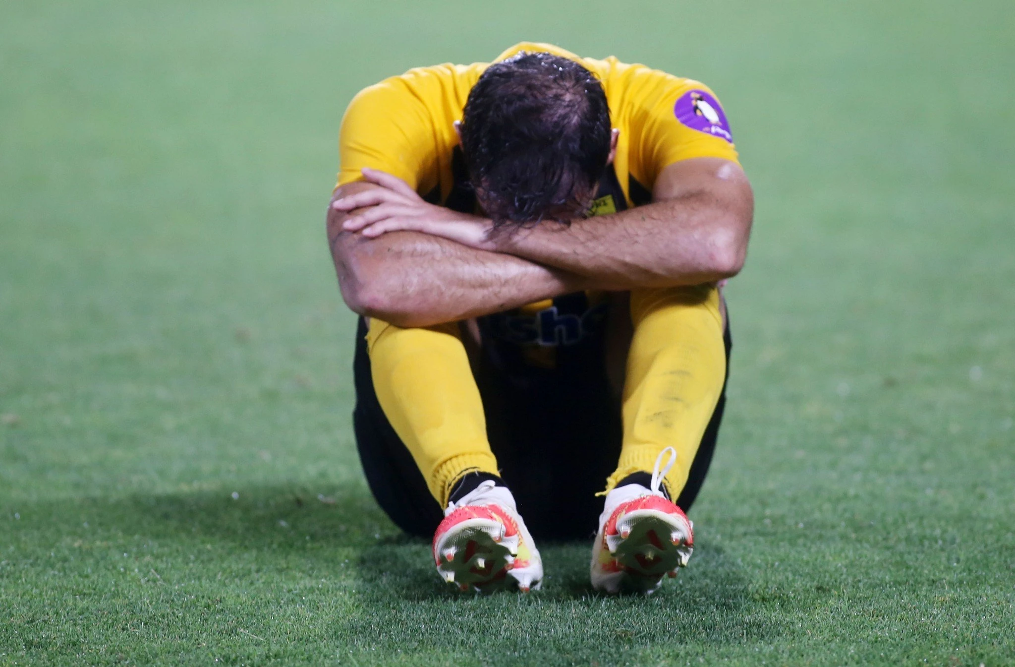aris-1.jpg