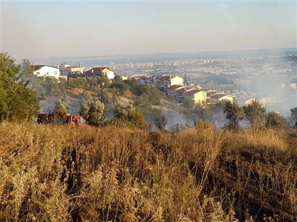 fotia-2.jpg