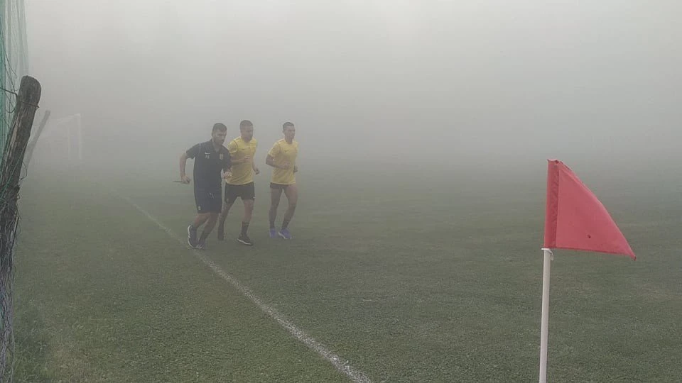 aris-1508202.jpg