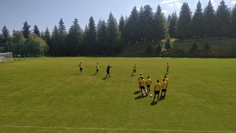 aris-2208202.jpg