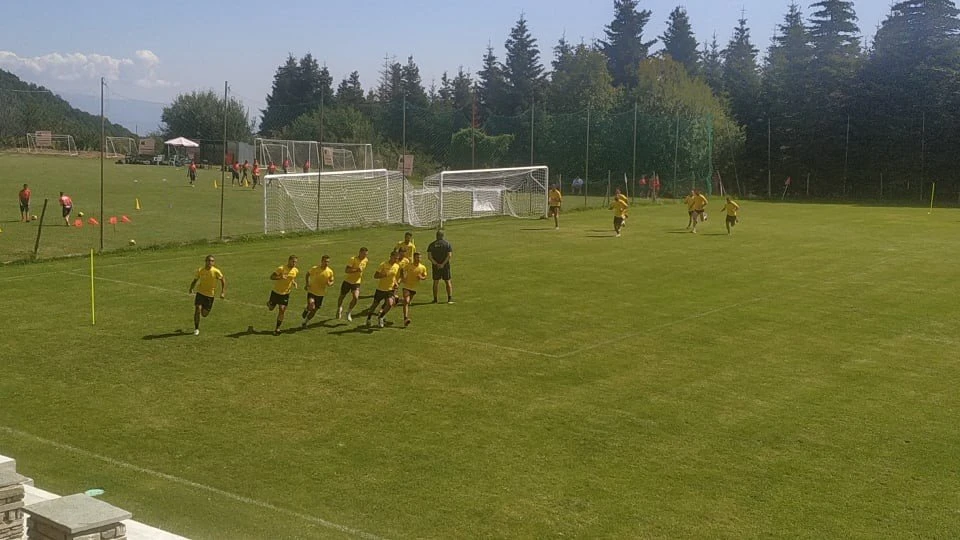 aris-2208203.jpg