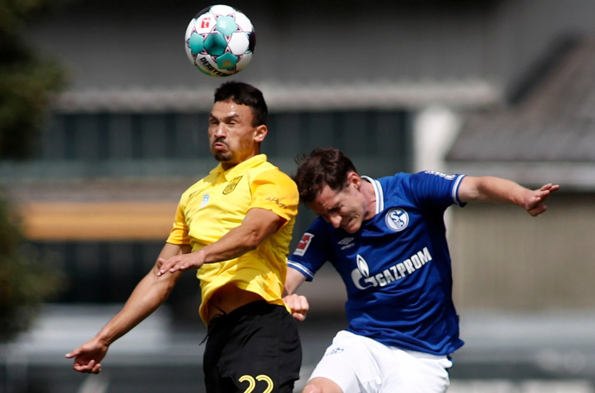 schalke-aris13.jpg
