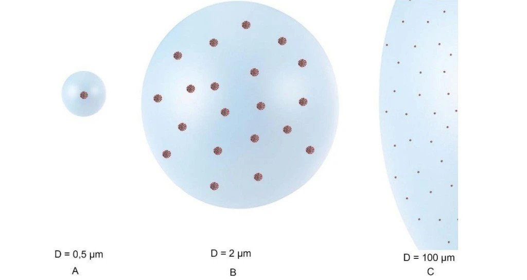 spiti.jpg