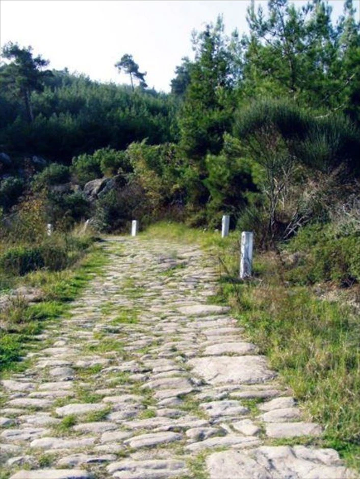 2-jaLH4.jpg