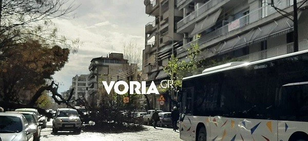 dentro.jpg