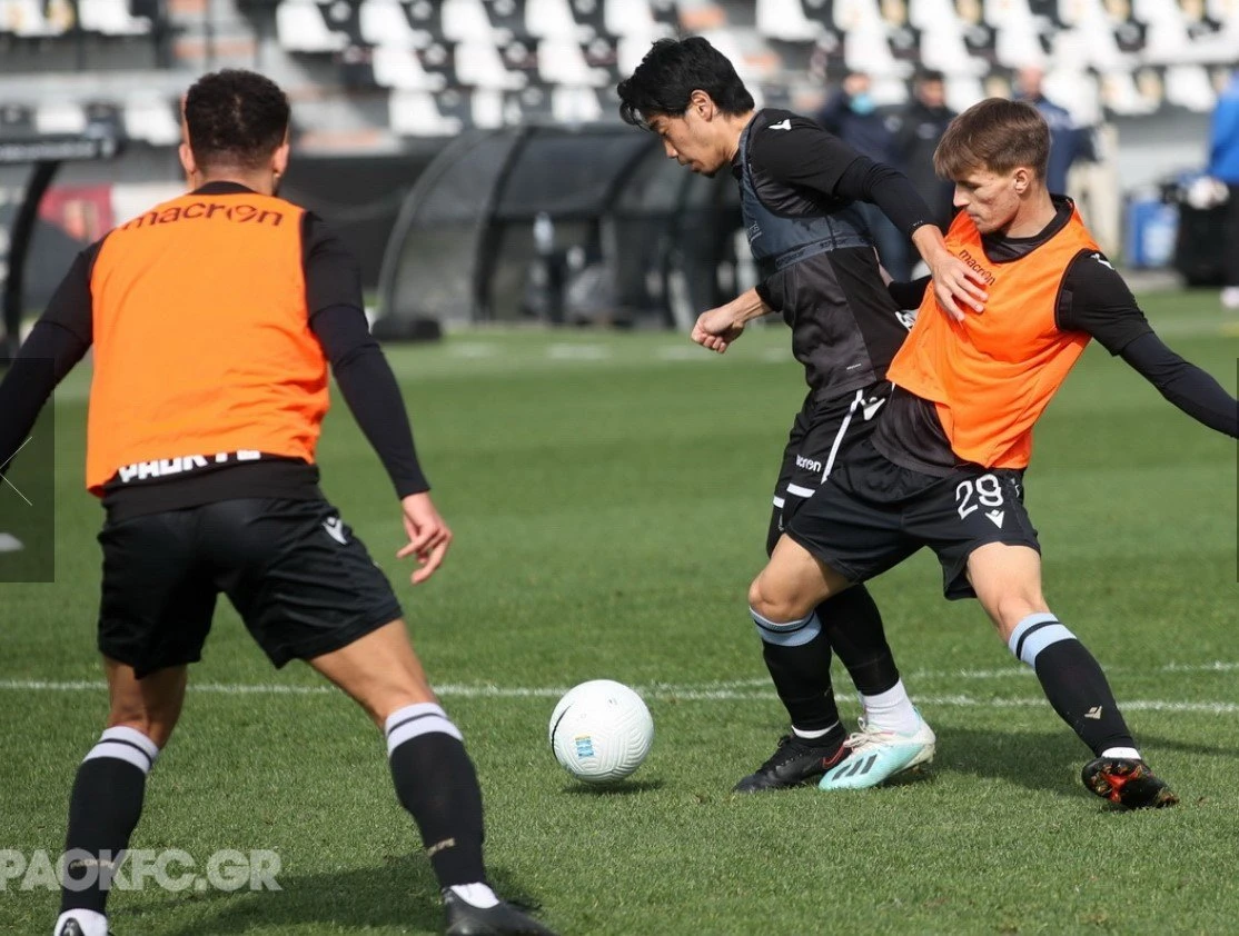 kagawa-2.jpg