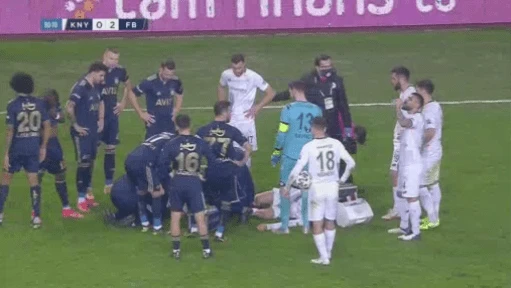 pelkas.png