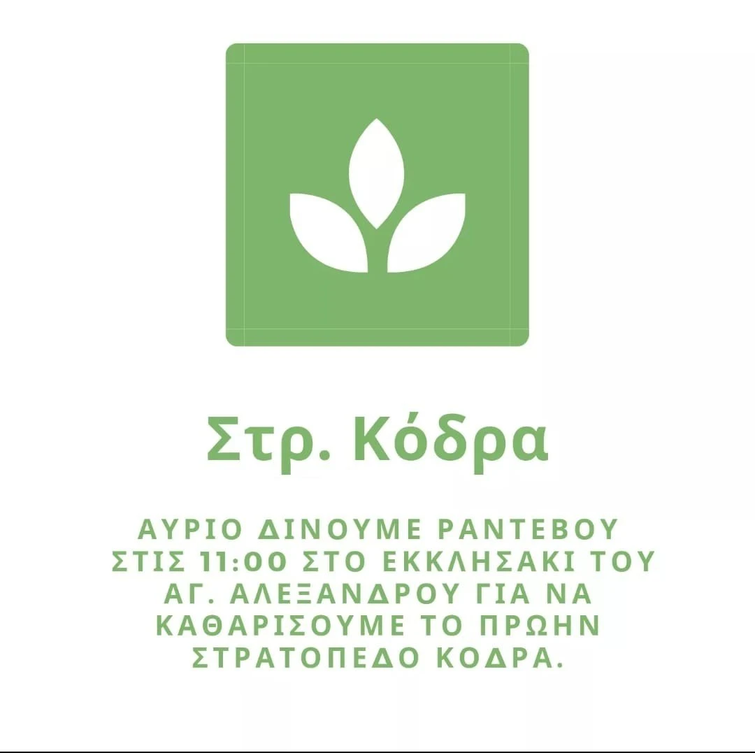 kodra.jpg