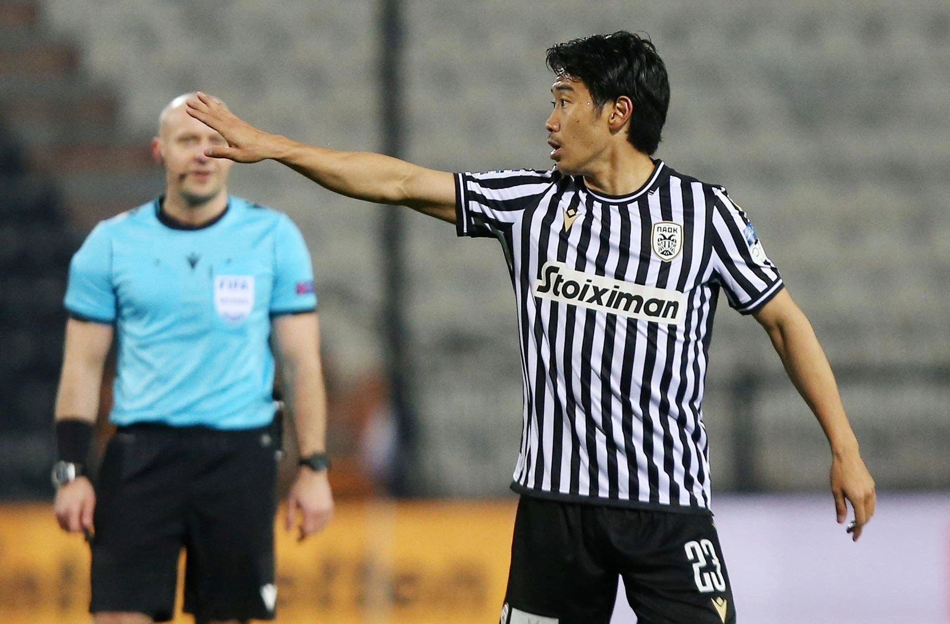 kagawa.jpg