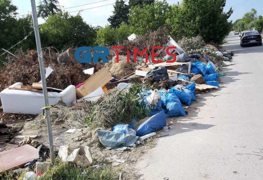 mpaza4.jpg