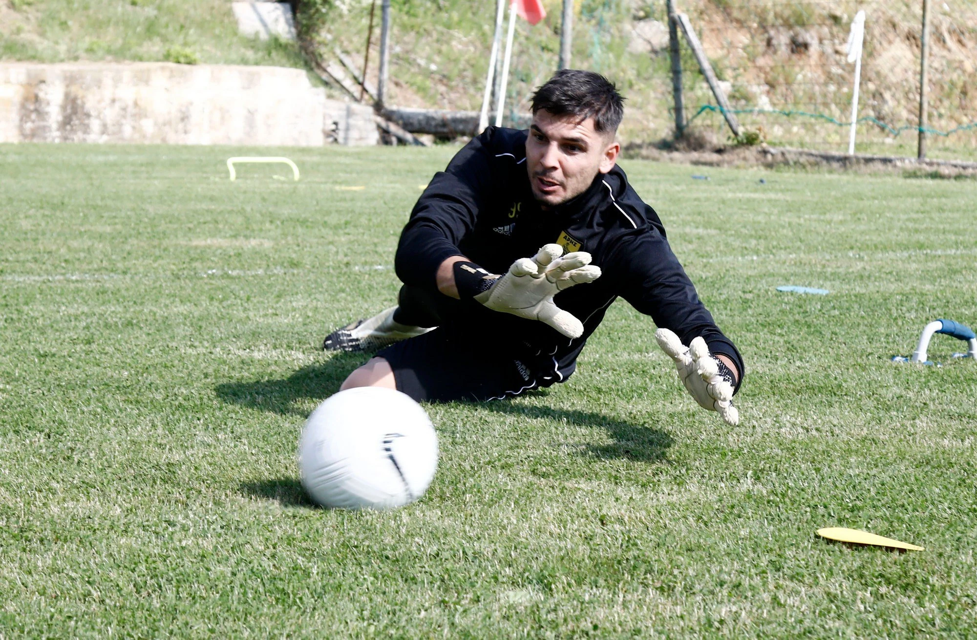 siabanis-aris.jpg