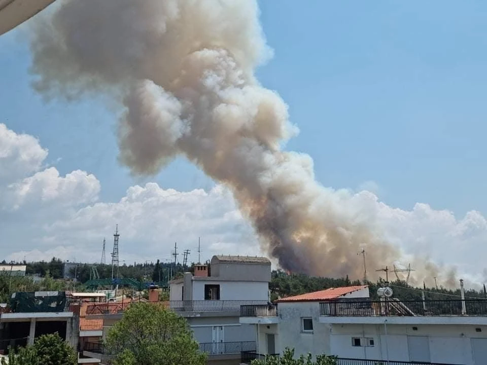 fotia3.jpg
