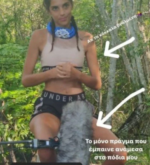velli-1.jpg