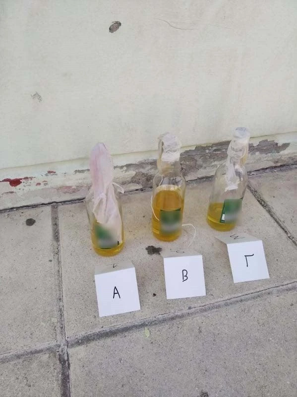 fot.jpg