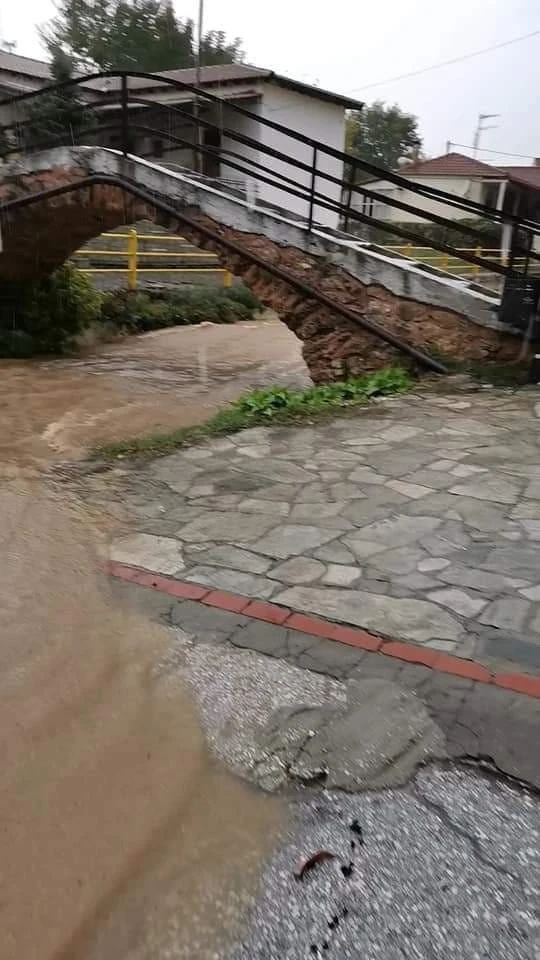 245430299-392849279158099-779272468820328105-n.jpg