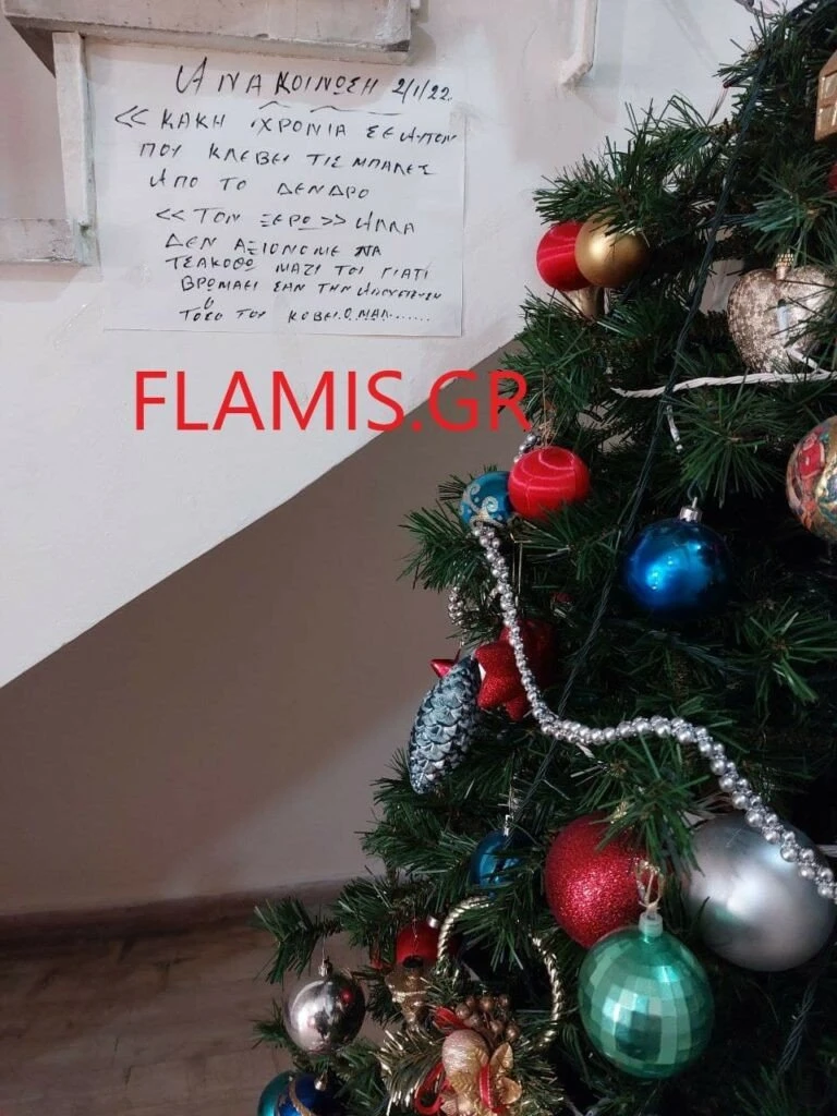 dentro.jpg