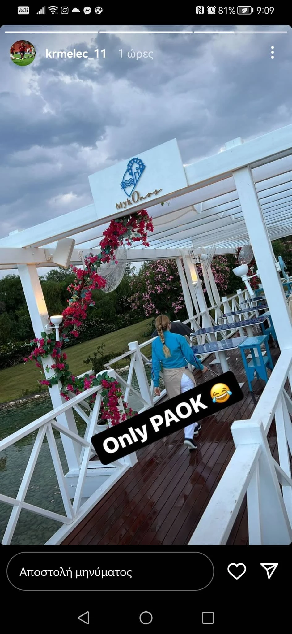 anartisi-maikl.jpg