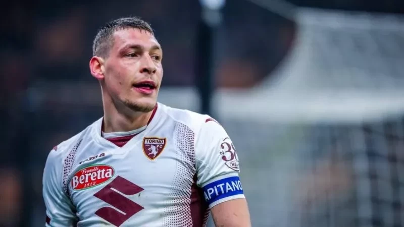 belotti-800x0-c-default.webp
