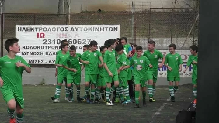 agrotikos-asteras.jpg