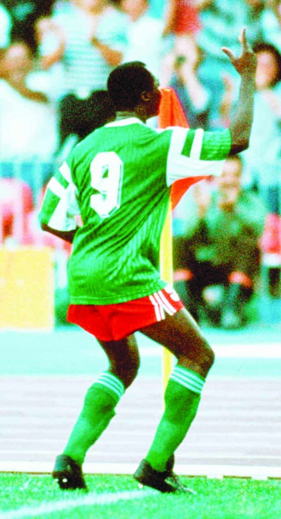 f3-2.jpg