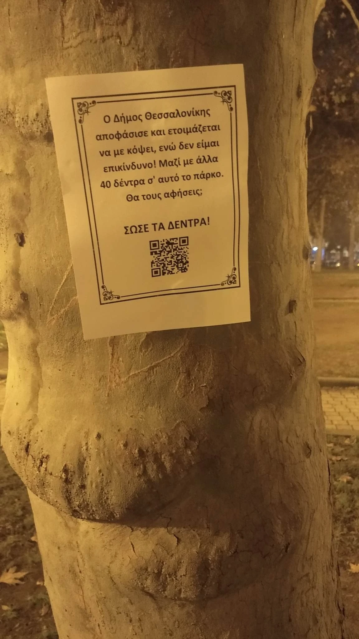 319126410-1192103138381753-7768989173675682242-n.jpg