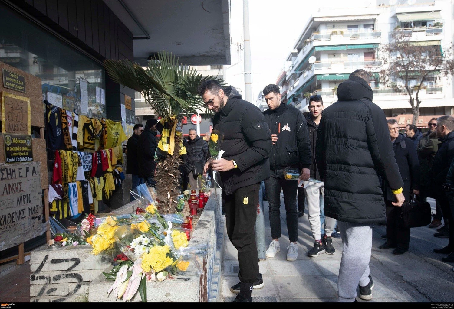 aris-alkis-4.jpg
