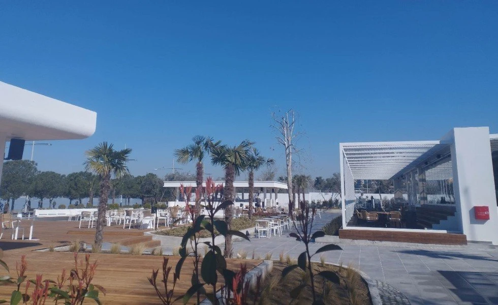 avenue.jpg