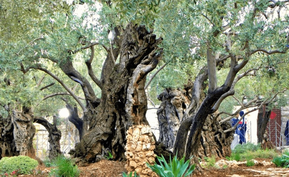 anwnimo-skhedio-2023-08-03t105435560.png