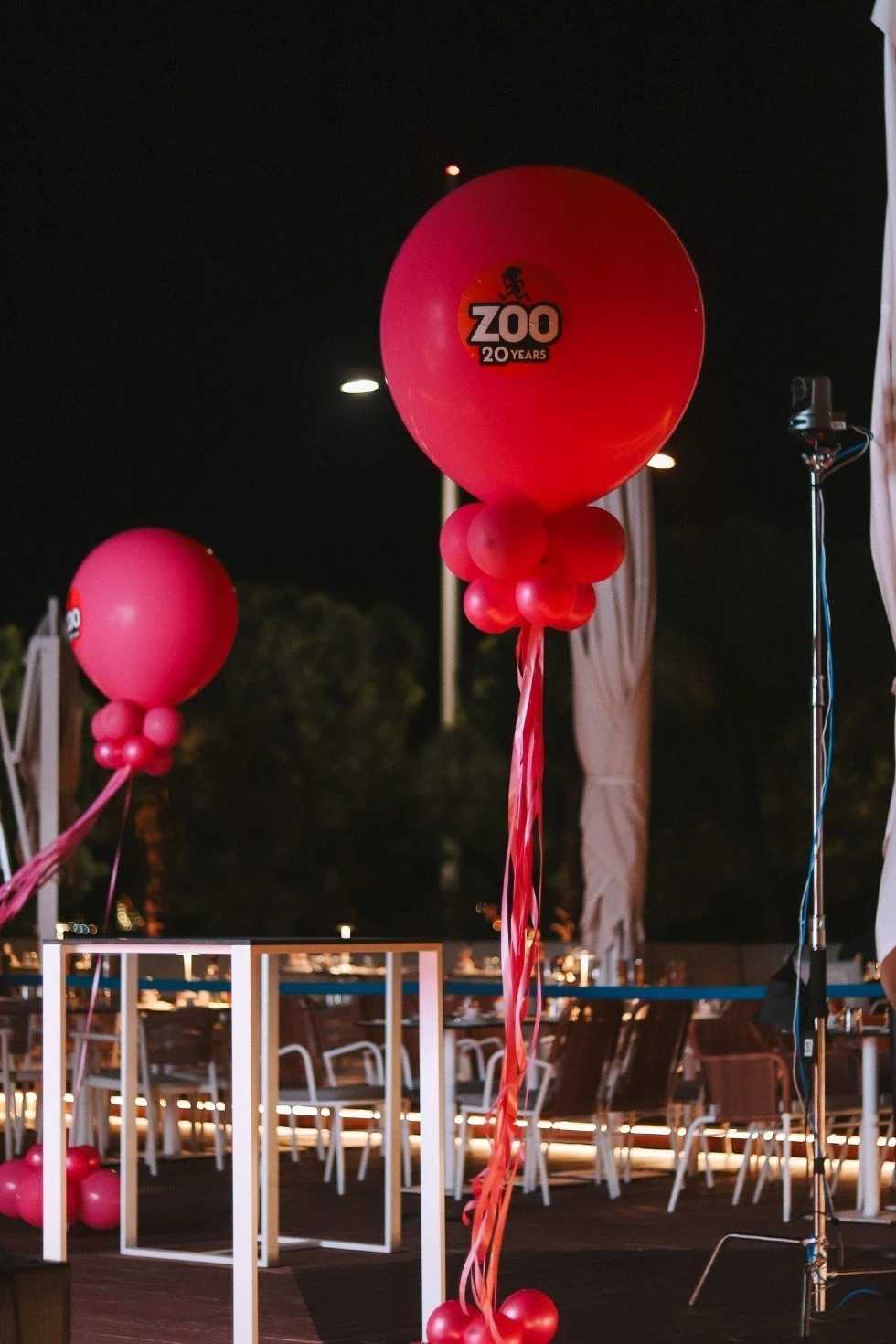 zoo-1.jpg