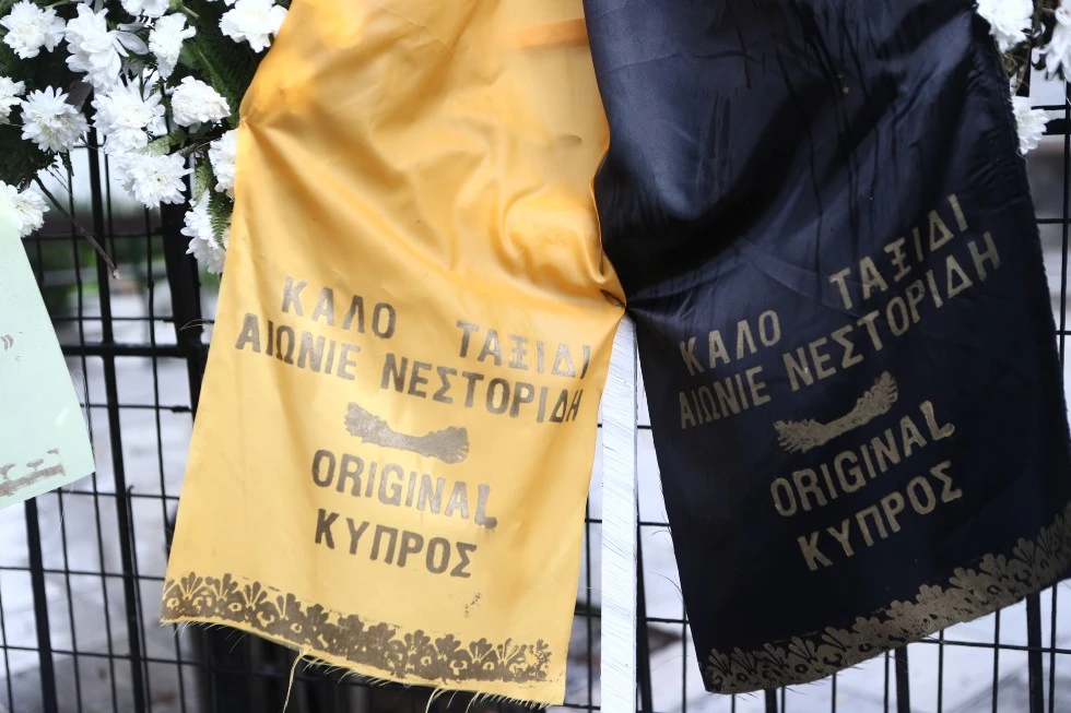 nestoridis-kideia-2.jpg