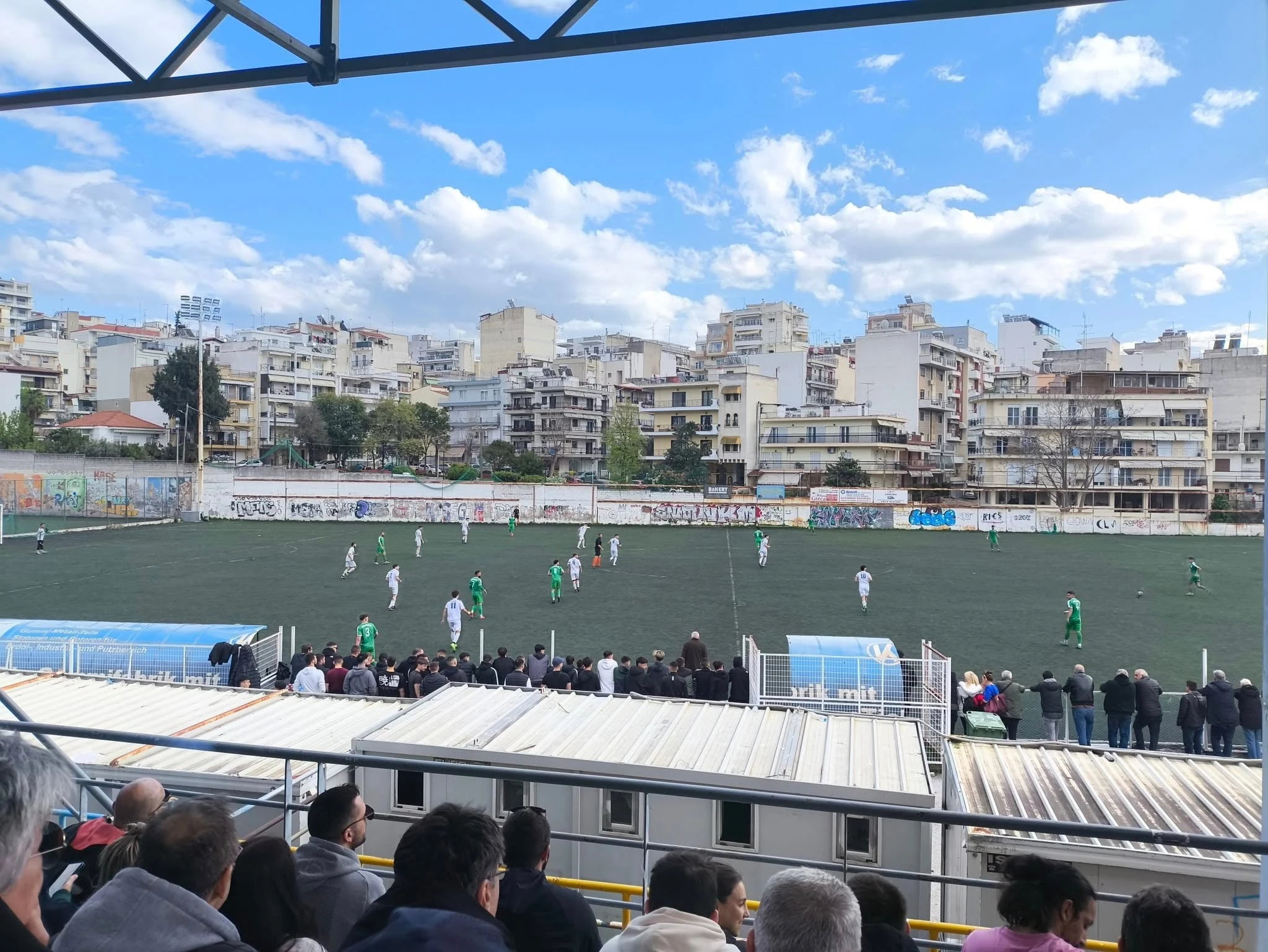 triandria-asteras.jpg