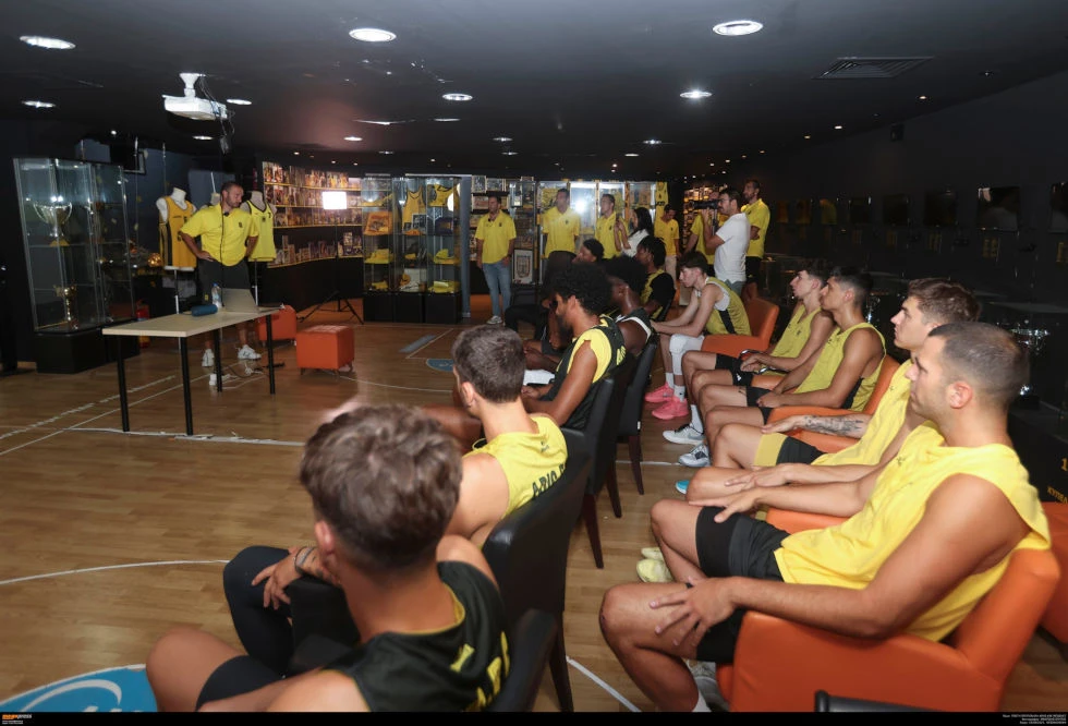 aris-basket2.jpg