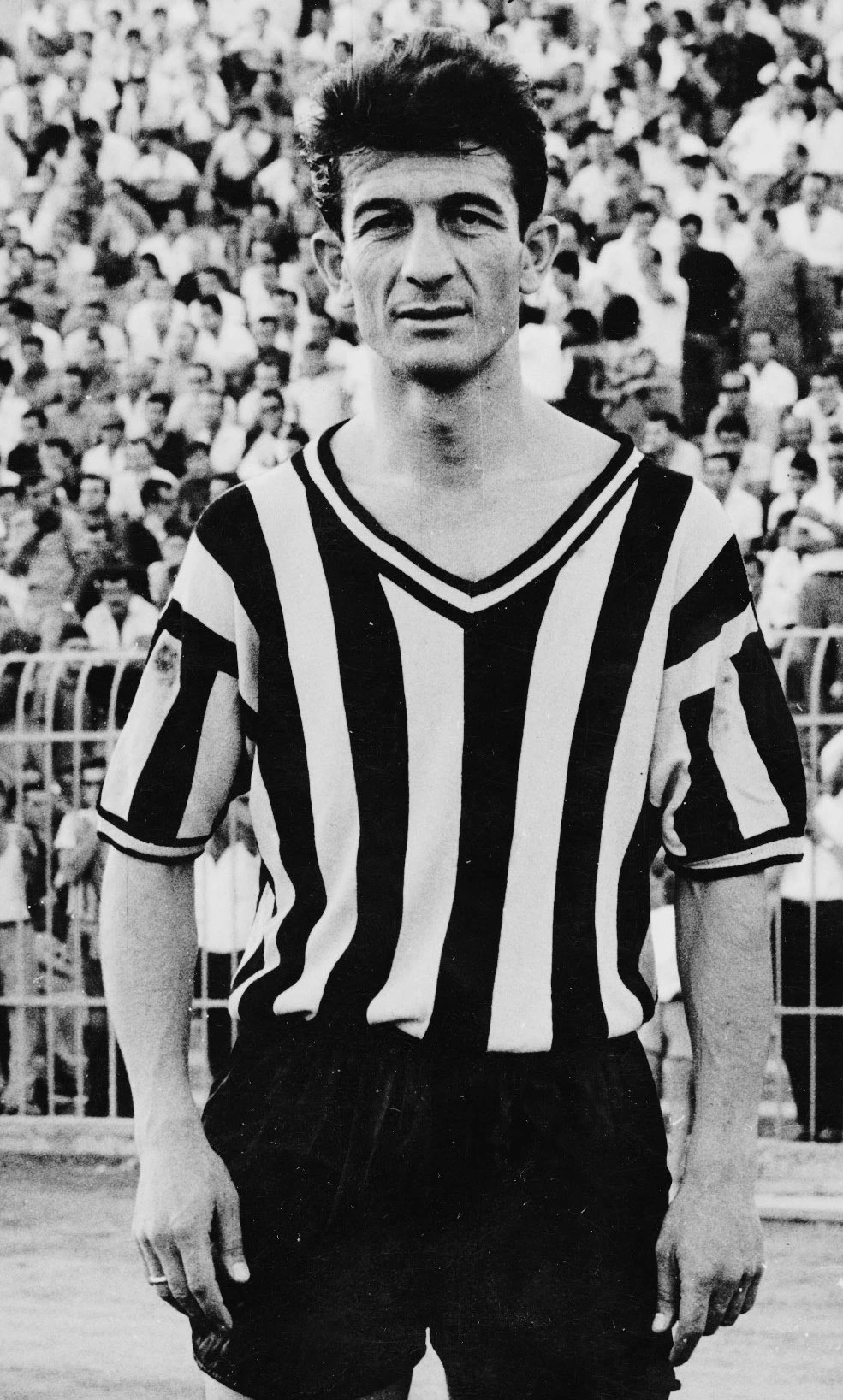 vasileiadis.jpg