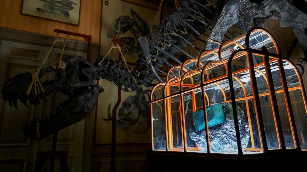 bag-t-rex.jpg