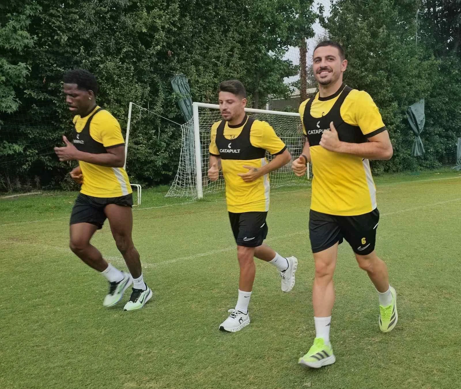 palacios-mUwEN.jpg?v=0