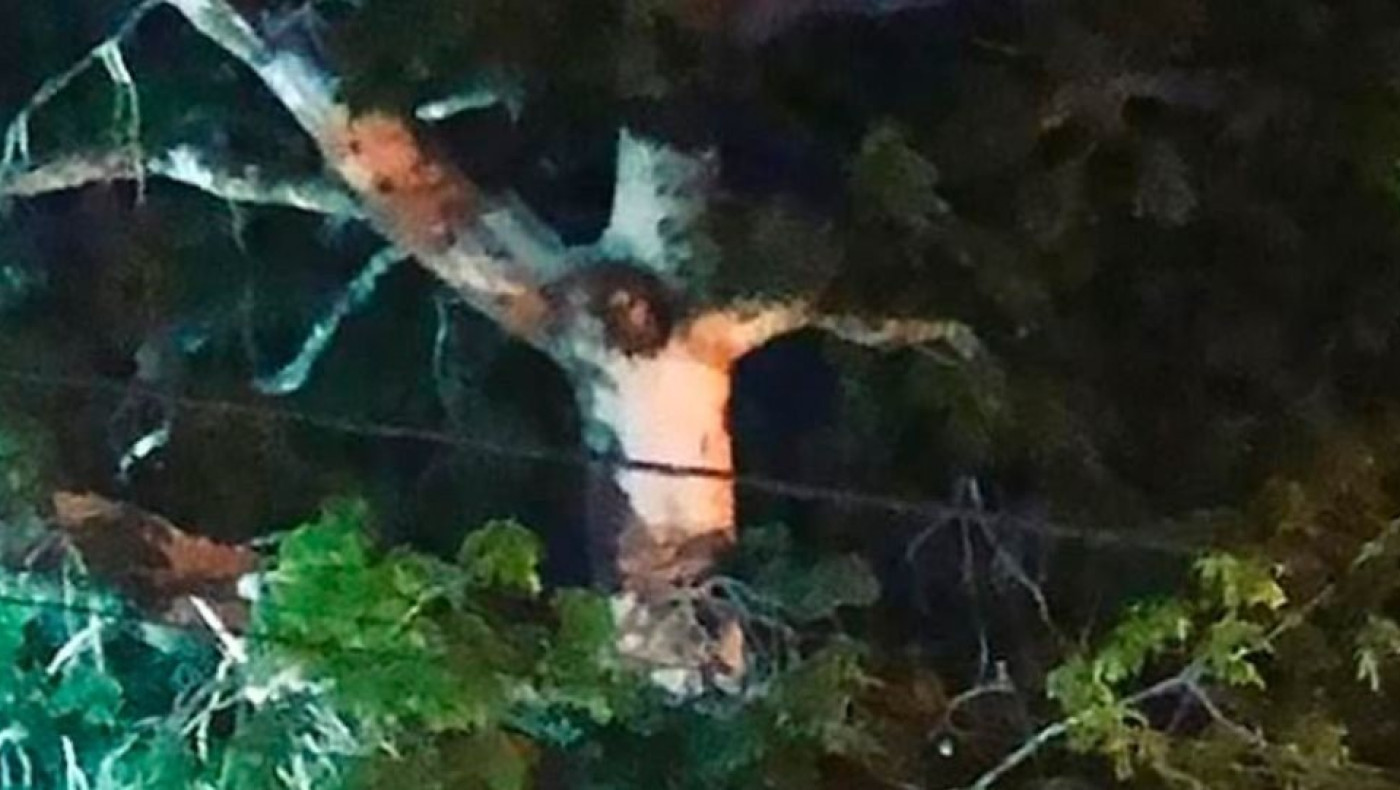 Έσπασαν την καραντίνα για να προσευχηθούν σε δέντρο στην Κολομβία