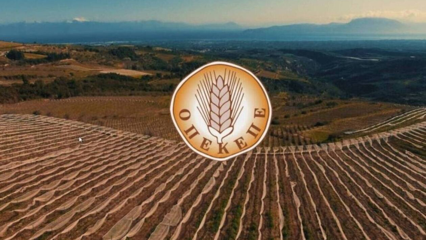 ΟΠΕΚΕΠΕ: Επιδοτούμενοι και συλληφθέντες σερβιτόροι και DJ's!