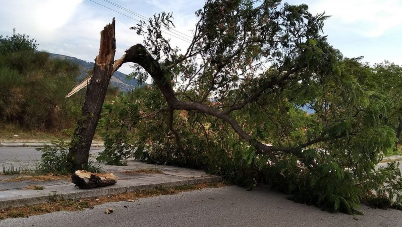 11 πτώσεις δέντρων στην Κ.Μακεδονία λόγω της κακοκαιρίας